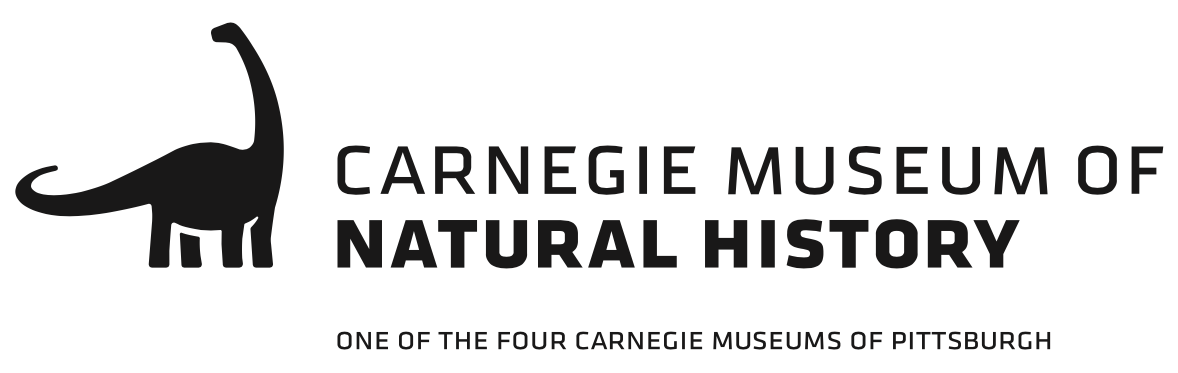 Screen Shot 2022-02-17 at 3.30.15 PM.png