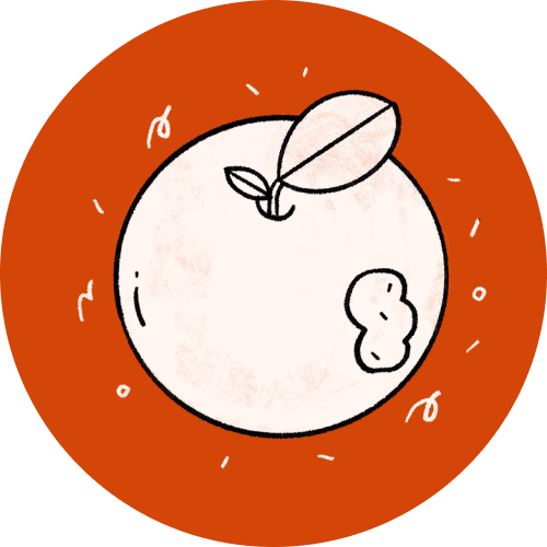 Goldfish Graphing Game