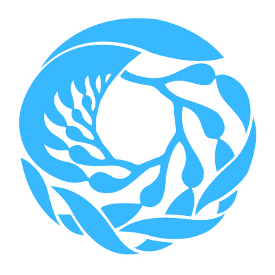 Light in the Deep Sea