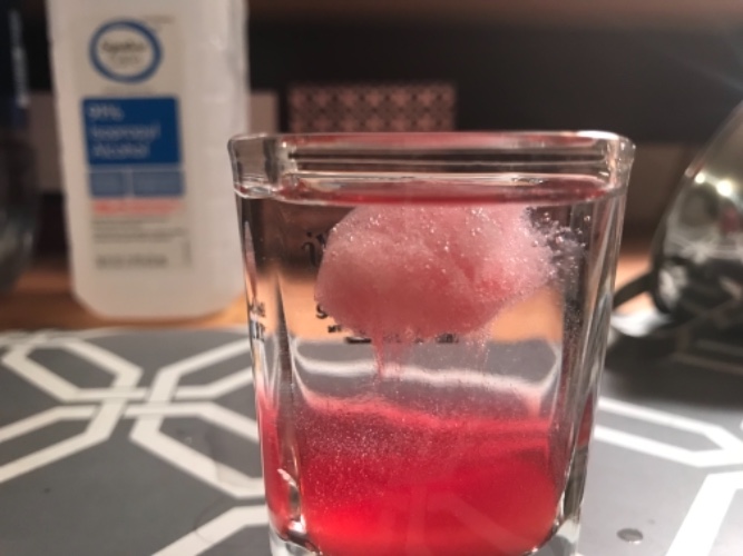 Strawberry DNA Extraction and an Introduction to Genetics: At-Home Science