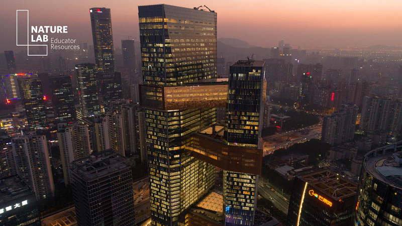 How Can We Inspire Children to Protect Nature When They Live in a Virtual World? 