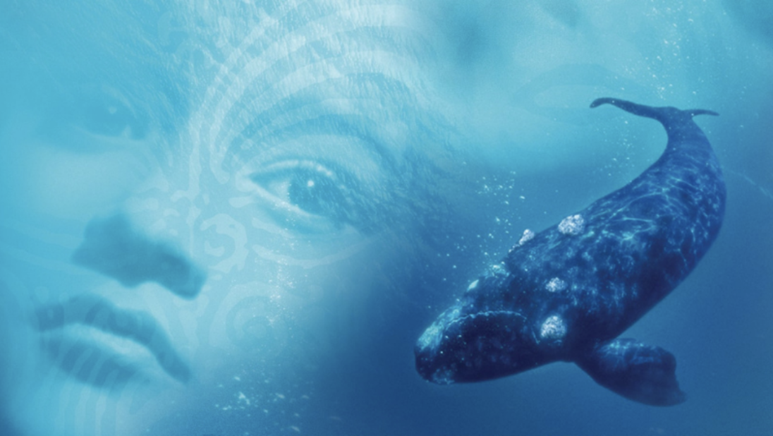 Whale Rider and SEL: A Movie Guide and Lesson Plan for Your Classroom