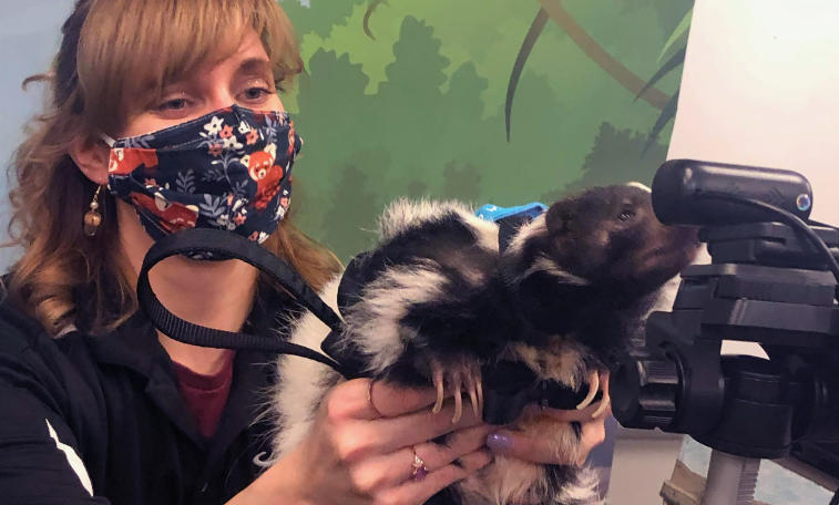 Specimens, Artifacts and Adventure: Supporting All Learners During Pandemic Disruptions