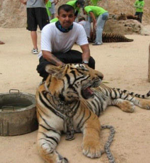 Civics Lesson: Freedom of Speech