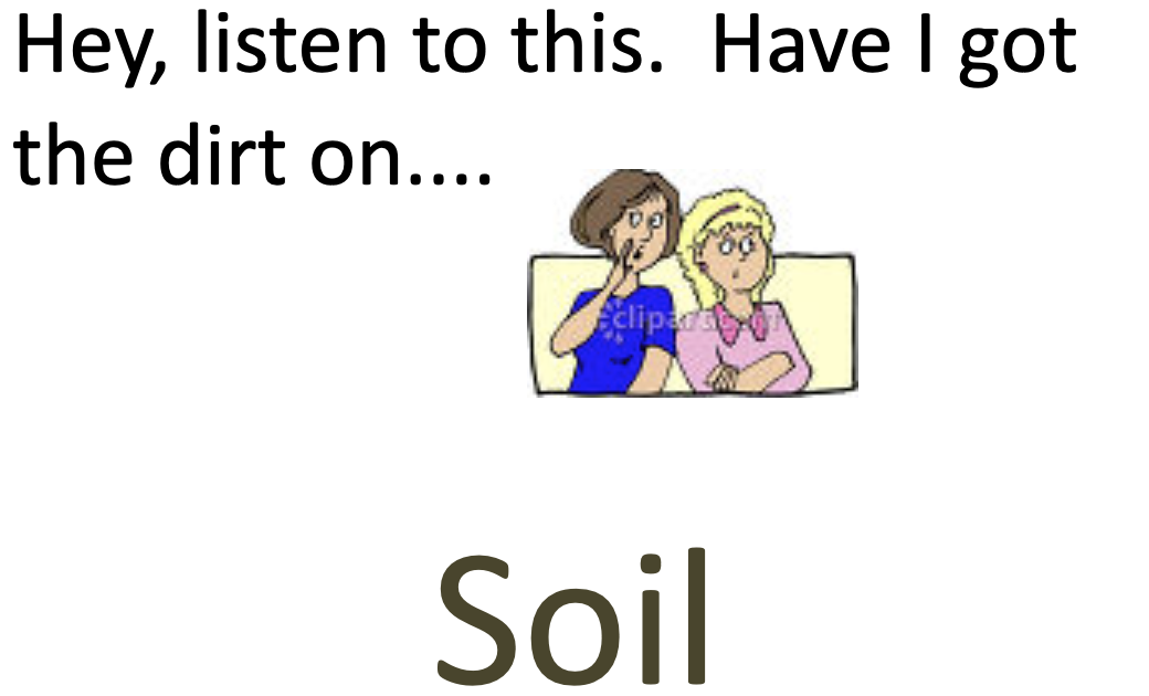 SOIL, The Whole Story