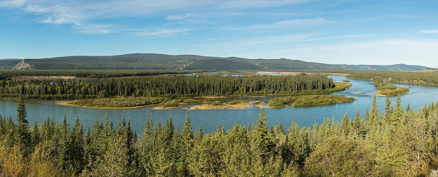 How Salmon Collapse in Alaska's Yukon River Is Drastically Changing Native Ways of Life