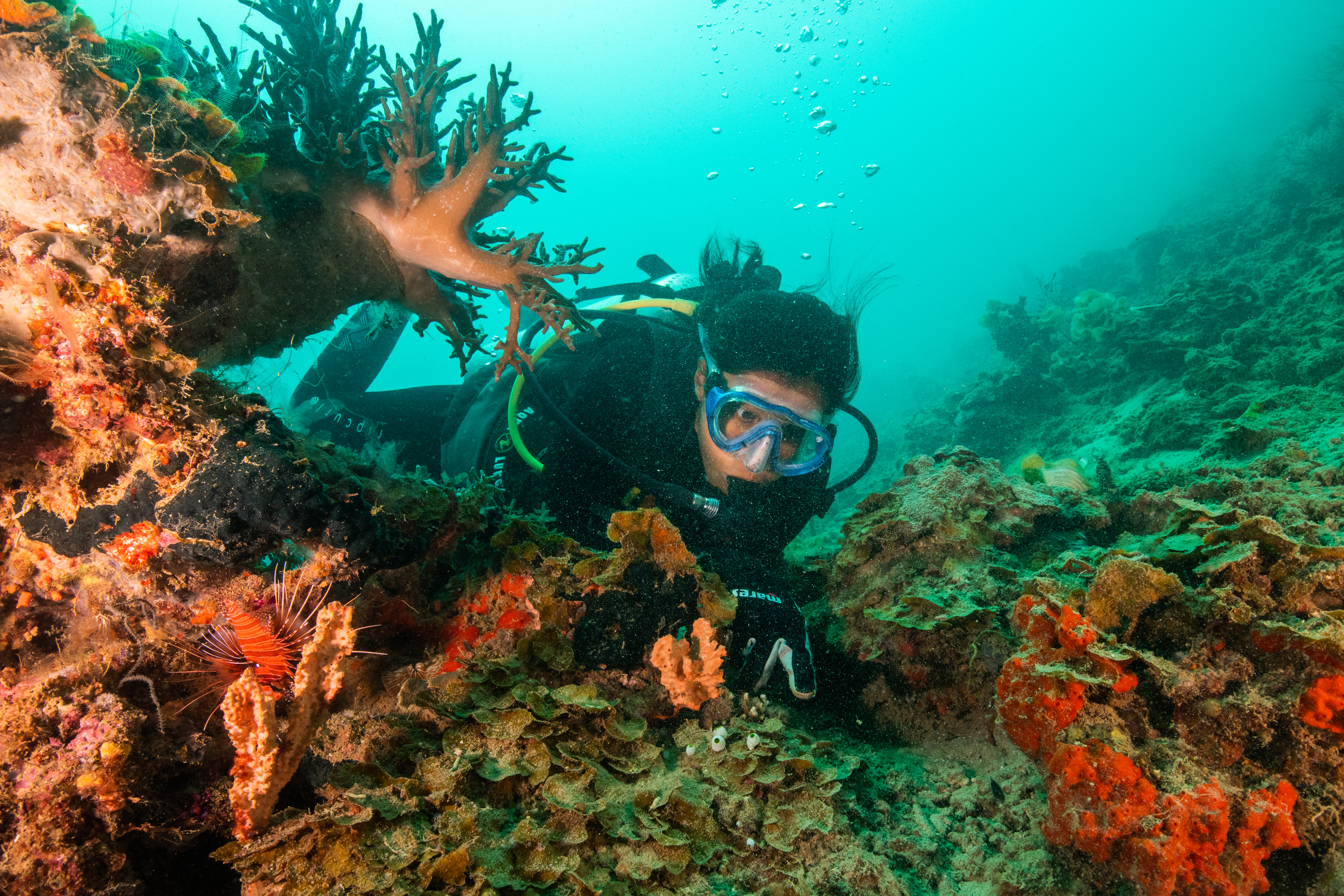 Biodiversity survey activity!