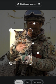 primer on spotting misinformation