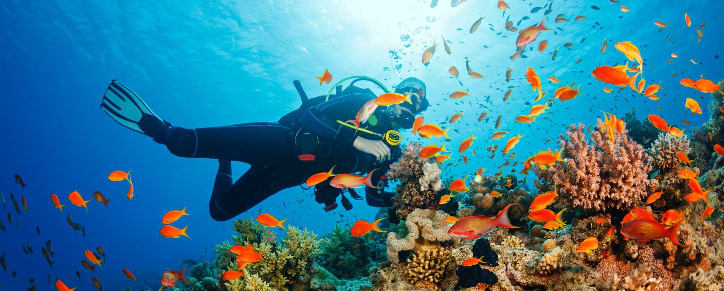 A Historic Deal to Protect Oceans