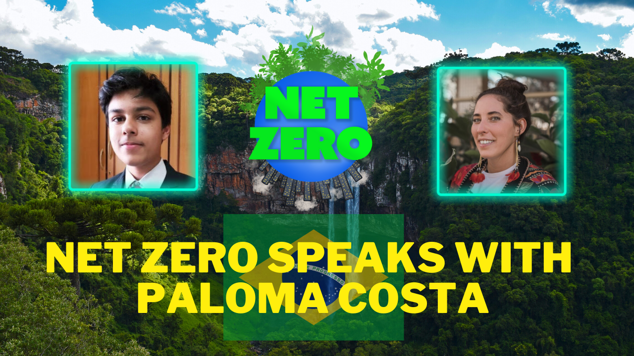 Net Zero Speaks with Paloma Costa about safeguarding the Amazon Rainforest