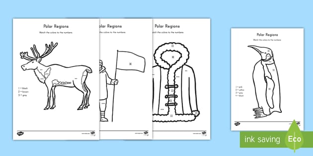 Polar Regions Color by Number