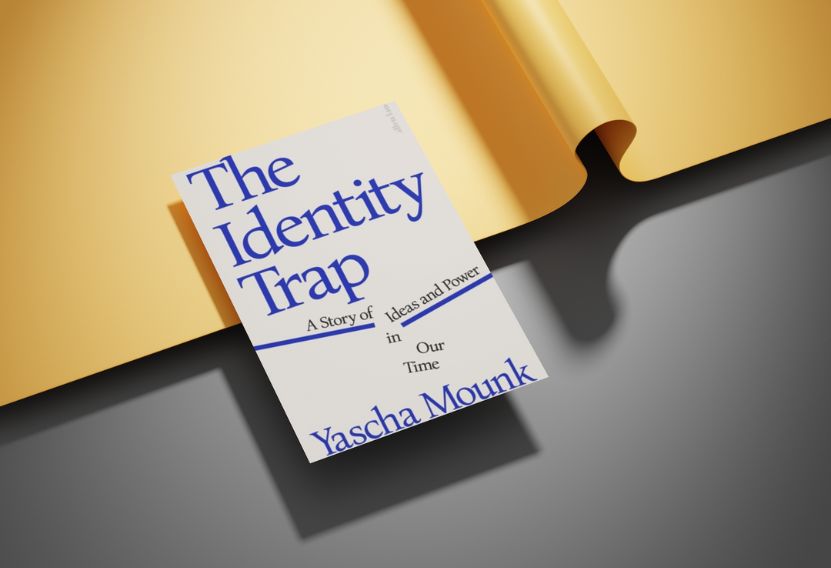 THE IDENTITY TRAP:  A STORY OF IDEAS AND POWER IN OUR TIME