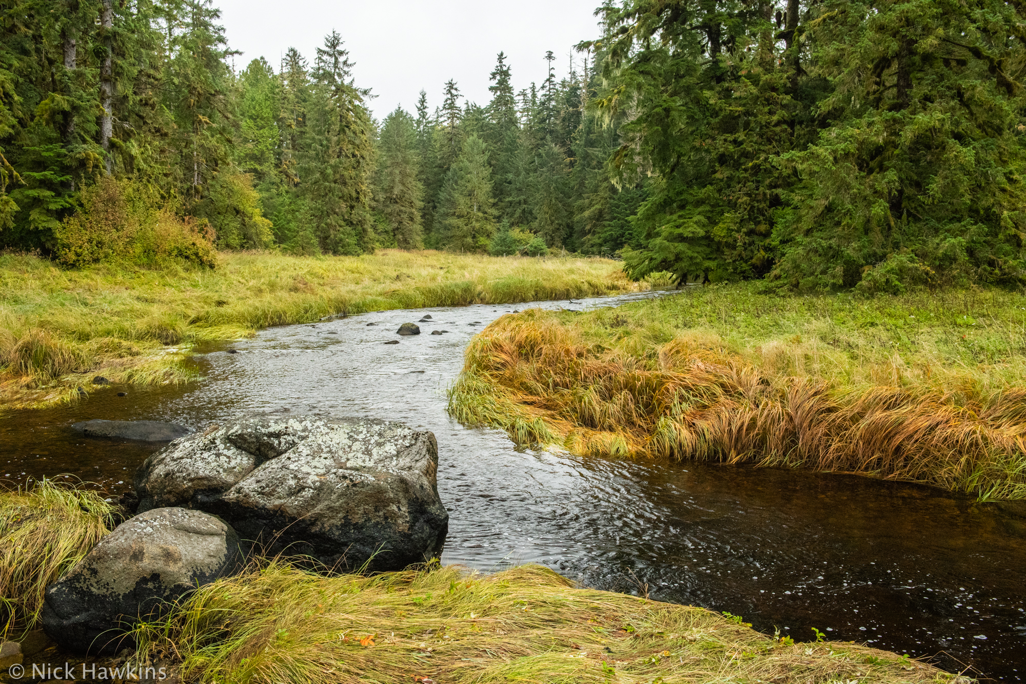A critical analysis of the news: Salmon Stocks