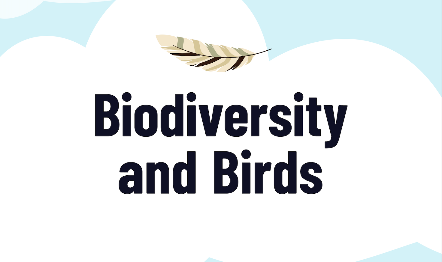 Biodiversity and Birds Exploration Guide