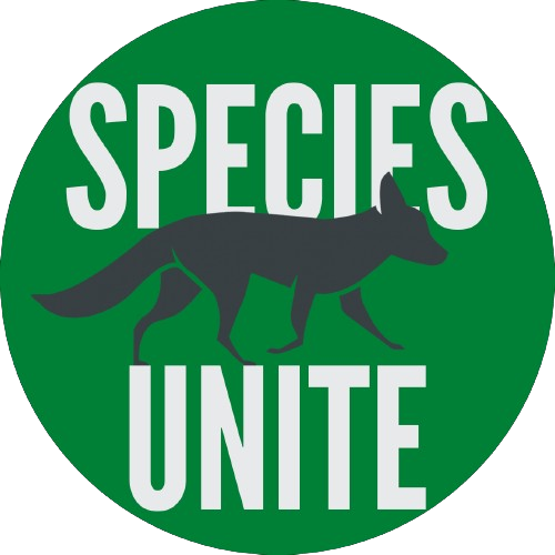 Free 6-Week Wolf Education Unit for Grades 6-8