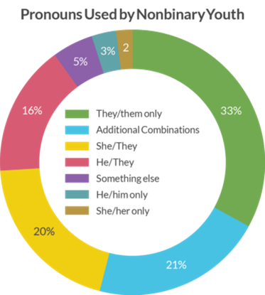 pronouns used by nonbinary youth graphic