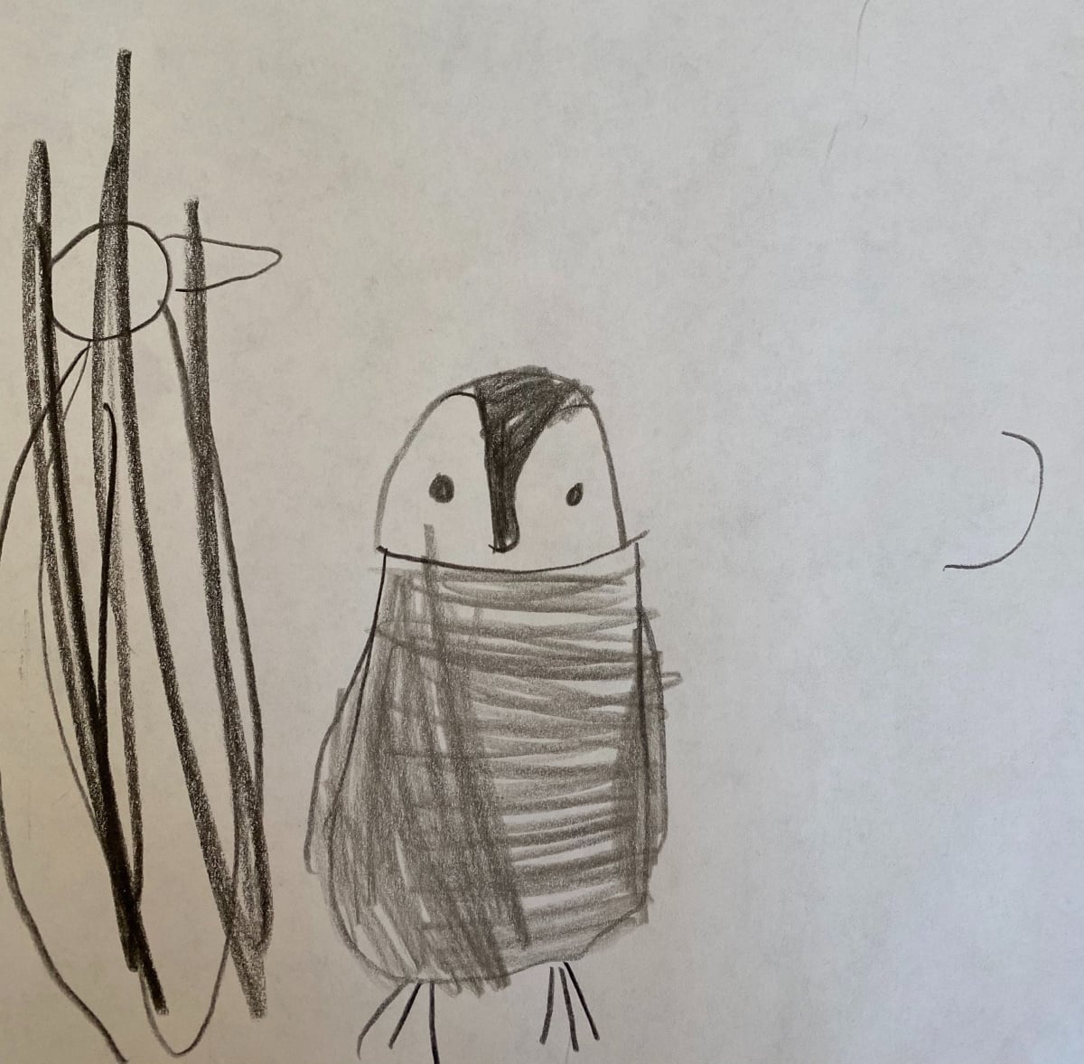 zoom classroom artwork