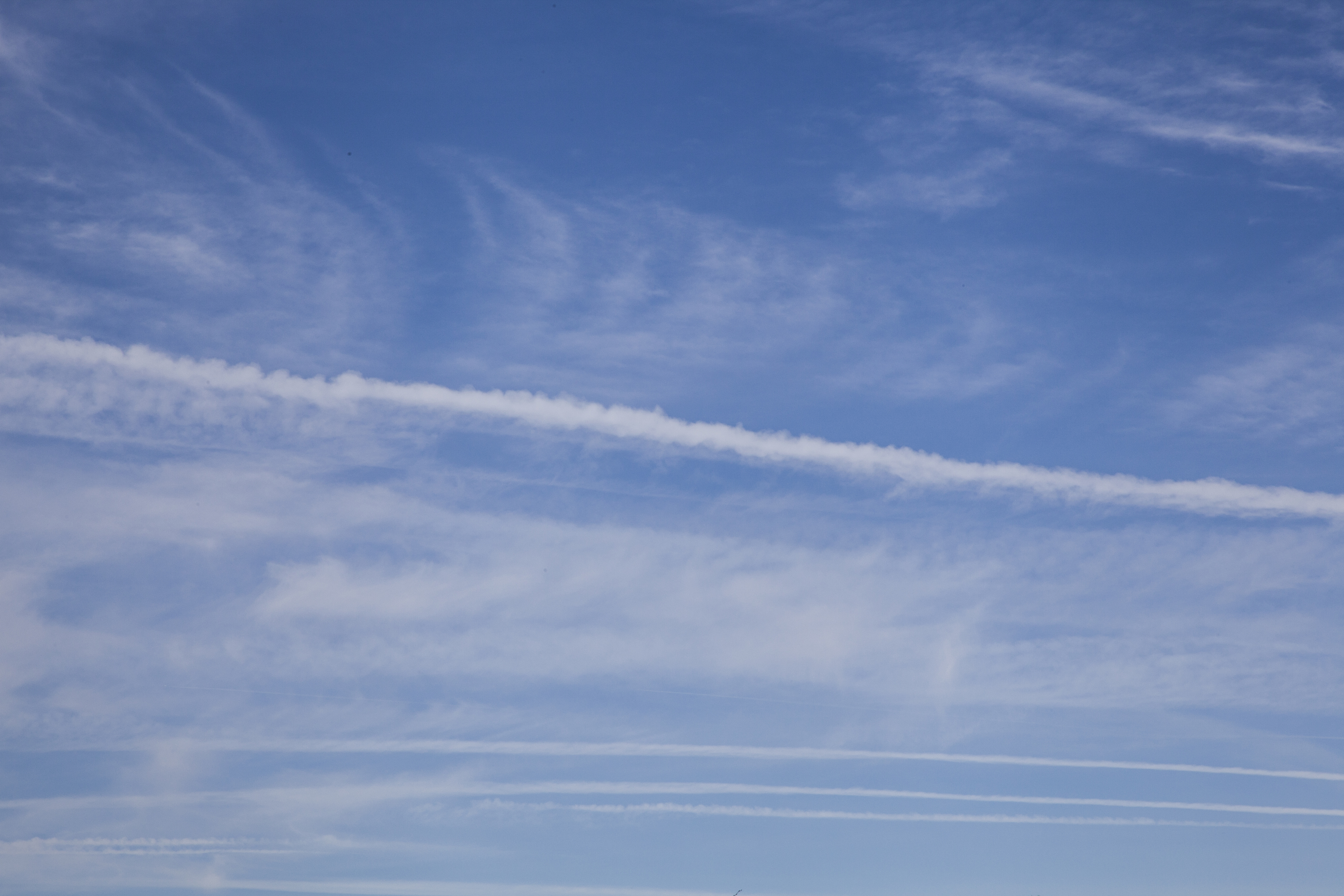 Neighbors in Space: Planets