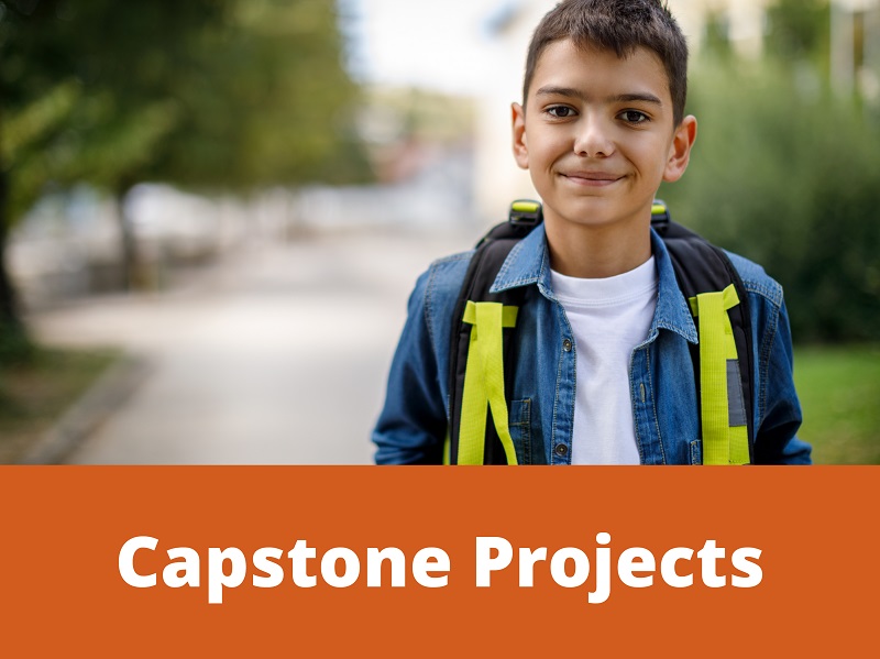capstone projects link