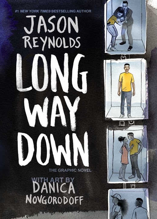 black history month books long way down