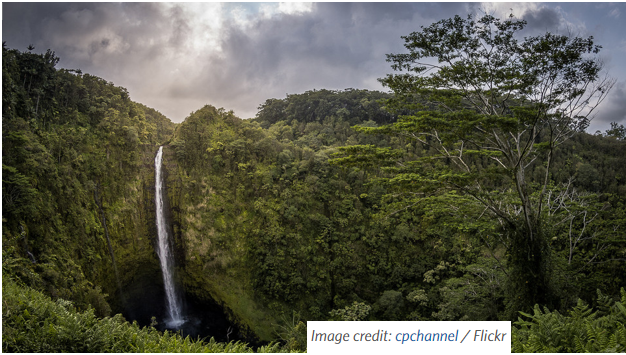 Healthy Ecosystems Limit Disease in Humans and Wildlife