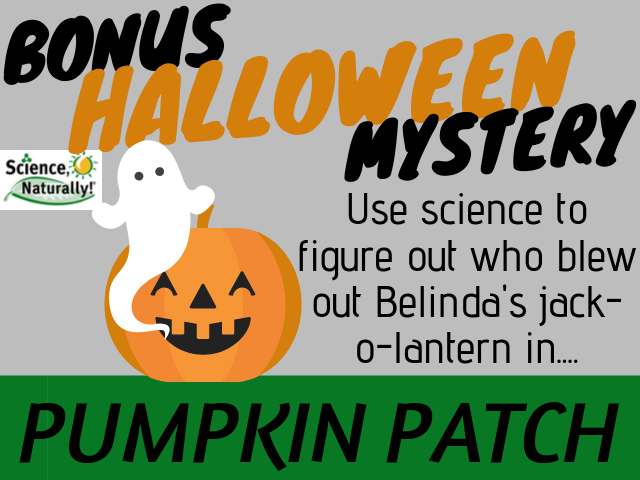 Halloween Mystery: Pumpkin Patch