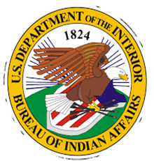 Simulation of appointment to BIA for dealing with  finding solution for Comanche Indian