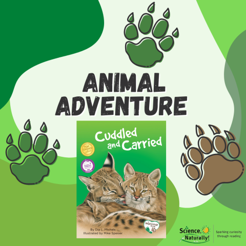 Animal Adventure from "Cuddled and Carried"