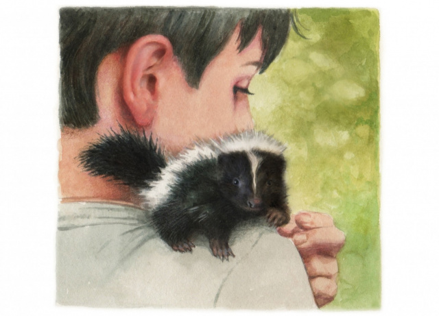 A Boy Called BAT by Elana K. Arnold a Novel HyperDoc Unit Template Dor Teachers, Parents and Students especially during Social Isolation