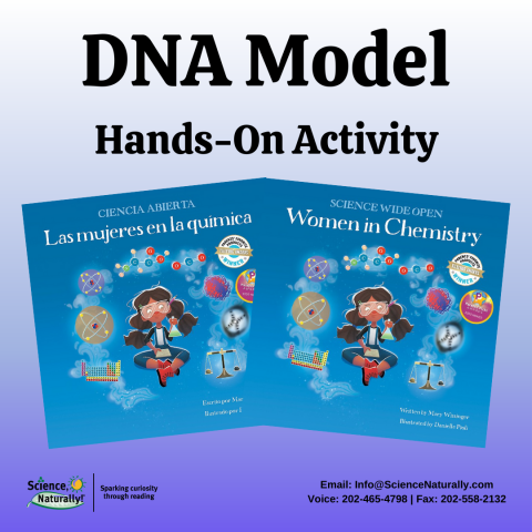 DNA Model from Women in Chemistry