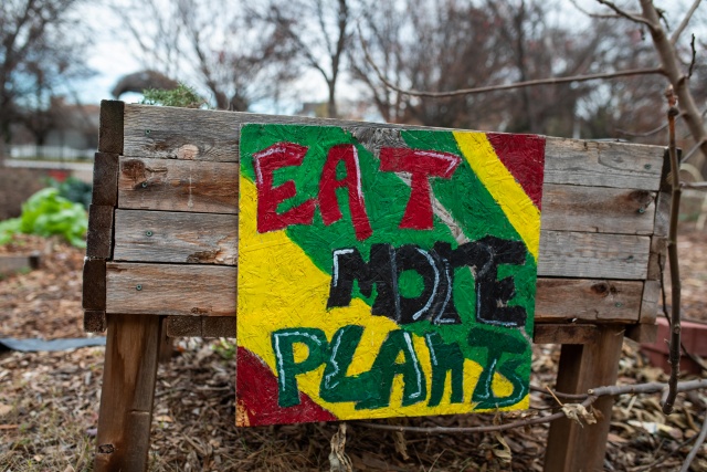 Planning Your Garden