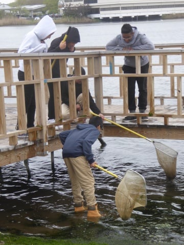 Eco-Schools USA at Home: Watersheds, Oceans and Wetlands (WOW)