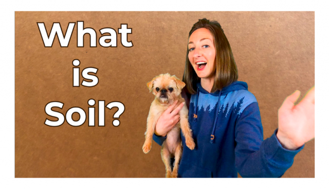 What is soil? Lesson for Kids