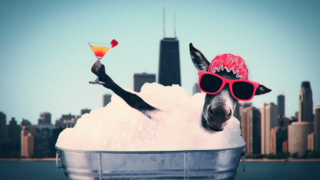 What Makes A State A State?