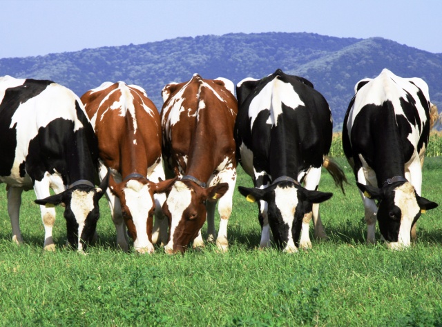 MIT BLOSSOMS Project-Based Learning Units: Tragedy of the Commons