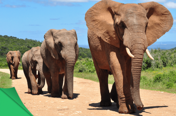 How To Be A Vibration Detective