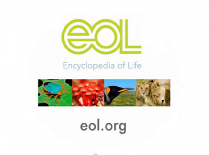 Biodiversity Skillbuilder 3: How Diverse is Biodiversity? (grades 2-5)