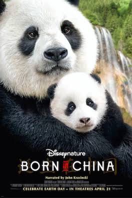 DisneyNature's Born in China Activity Packet