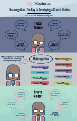 Fostering a Growth Mindset