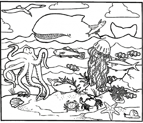 ECE Ocean Listening/Following Directions Activity