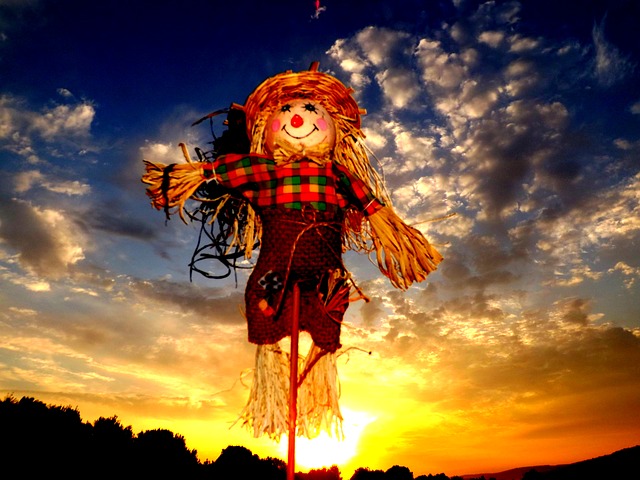 The Scarecrow is Looking for Pumpkins: Emergent Reader