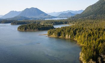 View from a Canoe: Exploring a Coastal Temperate Rainforest