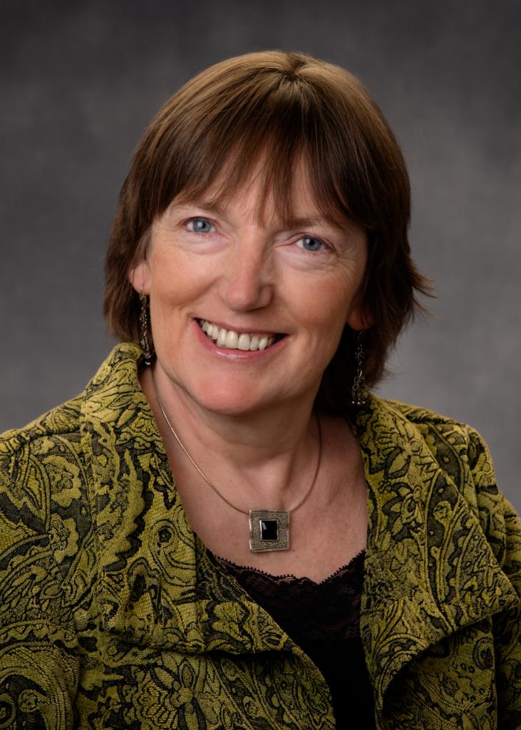 The Great Hunger: An Drochshaol, A curriculum guide to the graphic novel