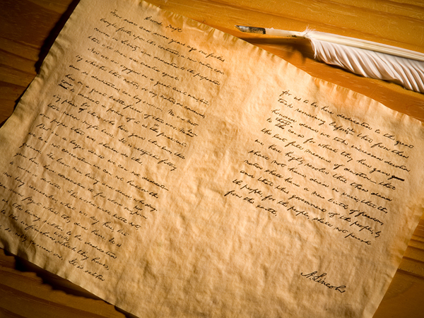 The Economics of Risk